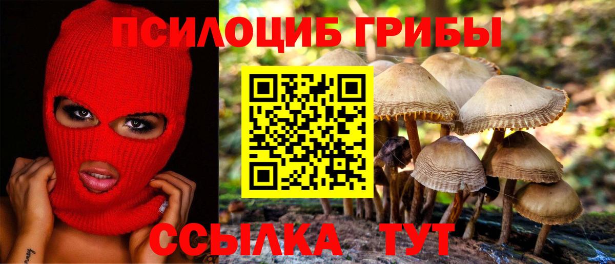Галлюциногенные грибы Cubensis Избербаш